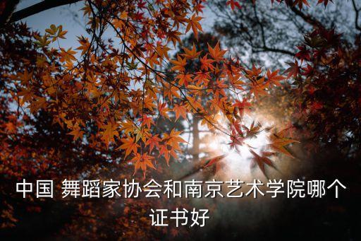 中国 舞蹈家协会和南京艺术学院哪个证书好