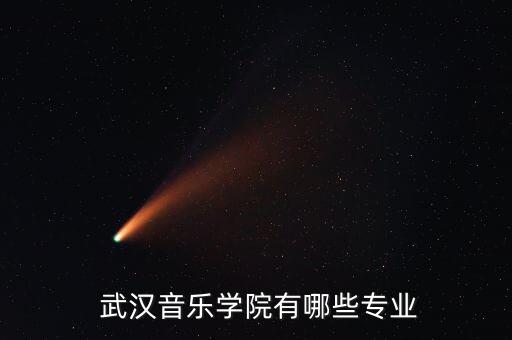  武汉音乐学院有哪些专业