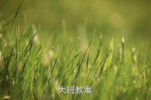 大班教案