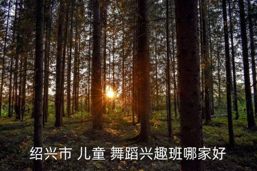 绍兴市 儿童 舞蹈兴趣班哪家好