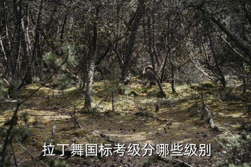  拉丁舞国标考级分哪些级别