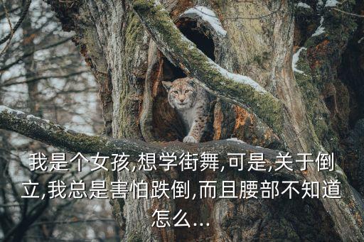 我是个女孩,想学街舞,可是,关于倒立,我总是害怕跌倒,而且腰部不知道怎么...