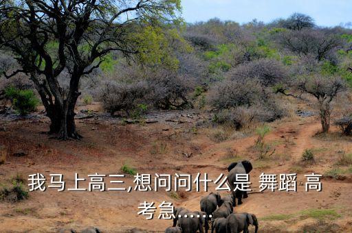 我马上高三,想问问什么是 舞蹈 高考急……
