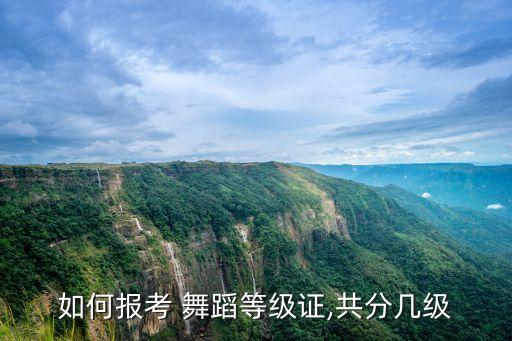 如何报考 舞蹈等级证,共分几级