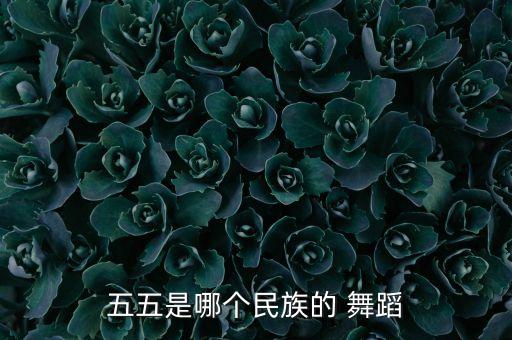 五五是哪个民族的 舞蹈