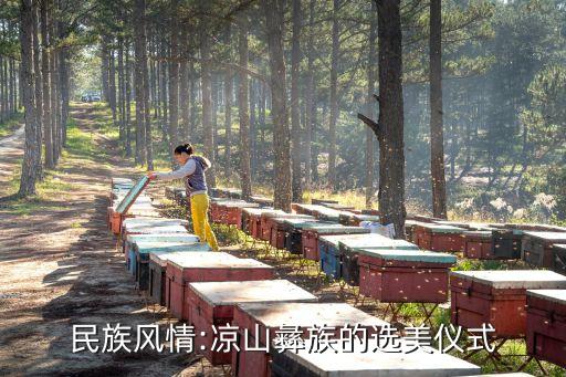 民族风情:凉山彝族的选美仪式