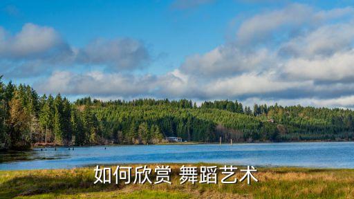如何欣赏 舞蹈艺术
