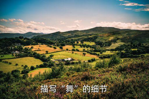十一人舞蹈队形
