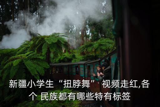 新疆小学生“扭脖舞” 视频走红,各个 民族都有哪些特有标签