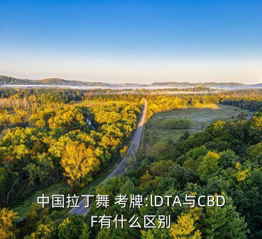 中国拉丁舞 考牌:lDTA与CBDF有什么区别