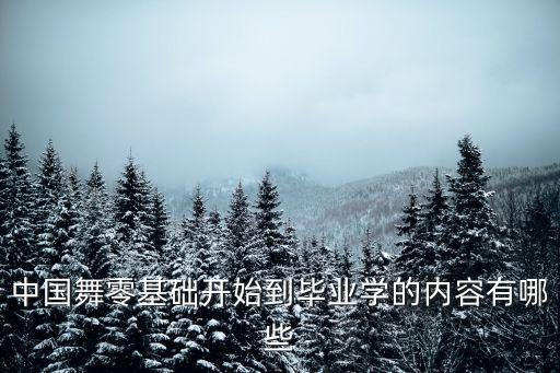 中国舞必学舞蹈,学舞蹈基本功重要还是舞感重要