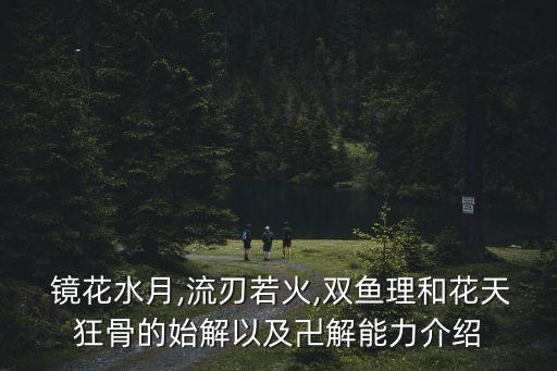  镜花水月,流刃若火,双鱼理和花天狂骨的始解以及卍解能力介绍