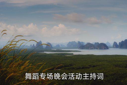 2013舞蹈大赛少儿组,最新少儿舞蹈大赛金奖作品视频