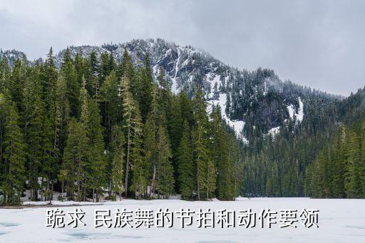 跪求 民族舞的节拍和动作要领