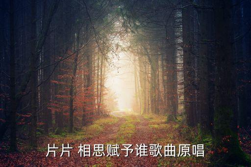 片片 相思赋予谁歌曲原唱