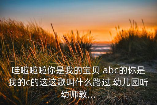 哇啦啦啦你是我的宝贝 abc的你是我的c的这这歌叫什么路过 幼儿园听幼师教...