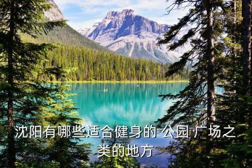沈阳有哪些适合健身的 公园 广场之类的地方