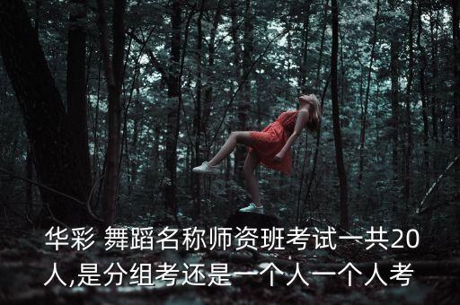 华彩舞蹈晴朗考级,华彩十级舞蹈考级视频全部