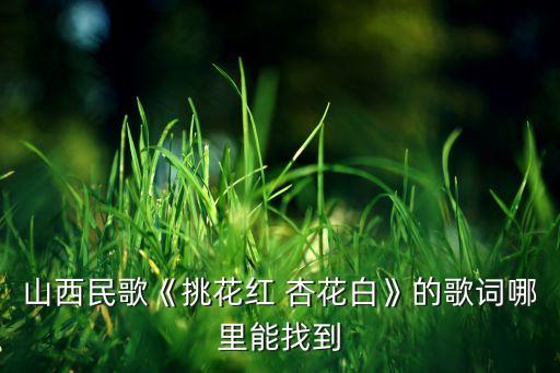 山西民歌《挑花红 杏花白》的歌词哪里能找到