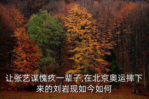 让张艺谋愧疚一辈子,在北京奥运摔下来的刘岩现如今如何