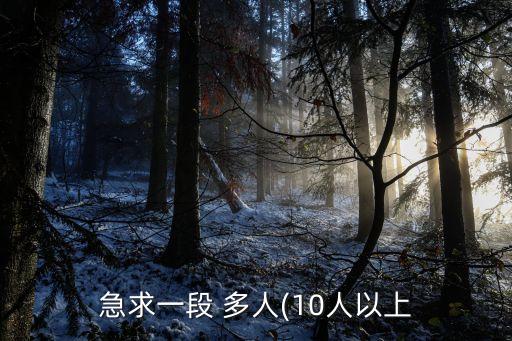 急求一段 多人(10人以上