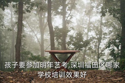 孩子要参加明年艺考,深圳福田区哪家学校培训效果好