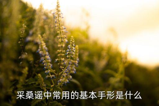 傣族舞蹈手型教学视频