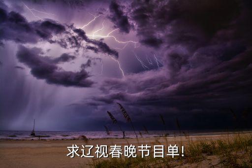 求辽视春晚节目单!