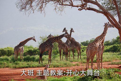 爱祖国主题舞蹈成人