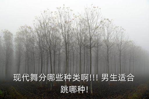 现代舞分哪些种类啊!!! 男生适合跳哪种!
