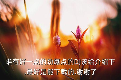 谁有好一点的劲爆点的DJ该给介绍下,最好是能下载的,谢谢了