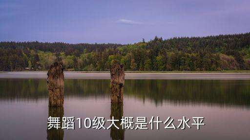  舞蹈10级大概是什么水平