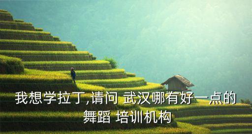 我想学拉丁,请问 武汉哪有好一点的 舞蹈 培训机构