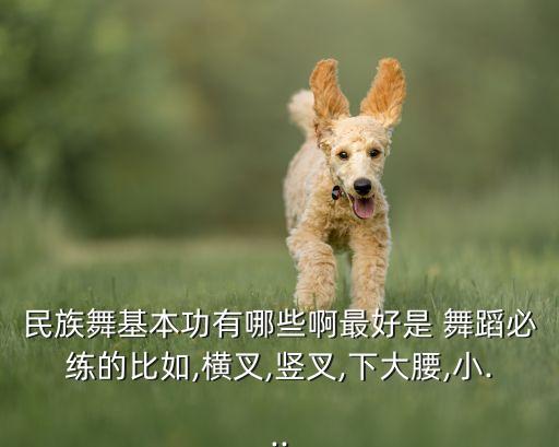 中国舞蹈紫金冠跳的连跳