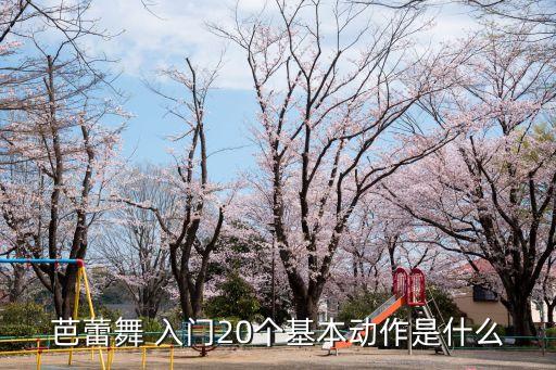 芭蕾舞 入门20个基本动作是什么