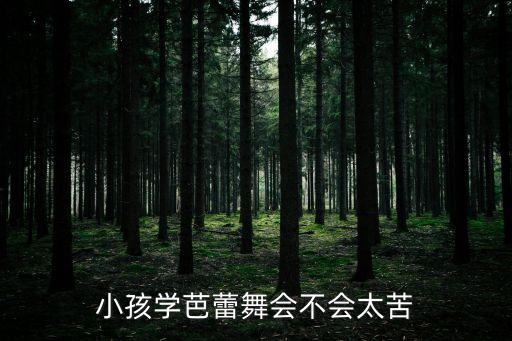 小孩学芭蕾舞会不会太苦