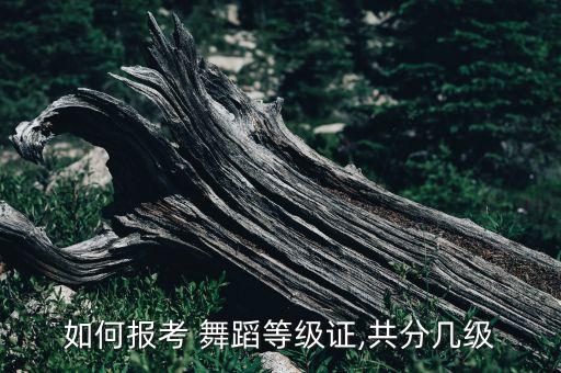 七级考级舞蹈儿童版,七级舞蹈考级全部视频风是邮差