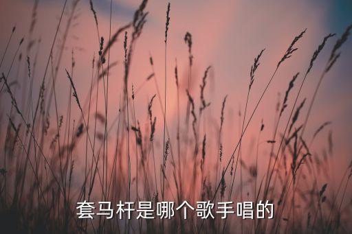 套马杆是哪个歌手唱的