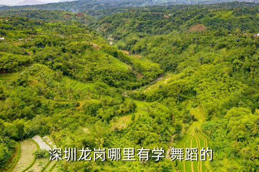 小伙伴舞蹈培训深圳,深圳kpop舞蹈培训