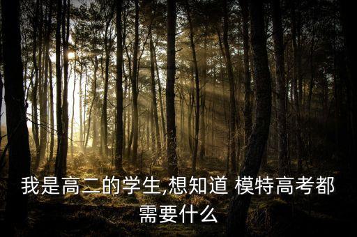 我是高二的学生,想知道 模特高考都需要什么