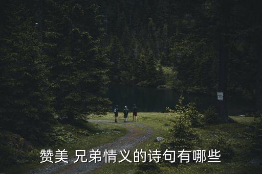 兄弟赞舞蹈,奔跑吧兄弟企业舞蹈