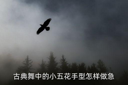 古典舞中的小五花手型怎样做急