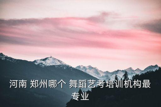 河南 郑州哪个 舞蹈艺考培训机构最专业