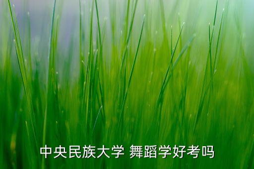 中央民族大学 舞蹈学好考吗
