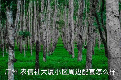 广州 农信社大厦小区周边配套怎么样