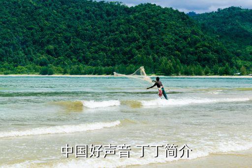 丁丁舞蹈曲,丁丁当当当舞蹈