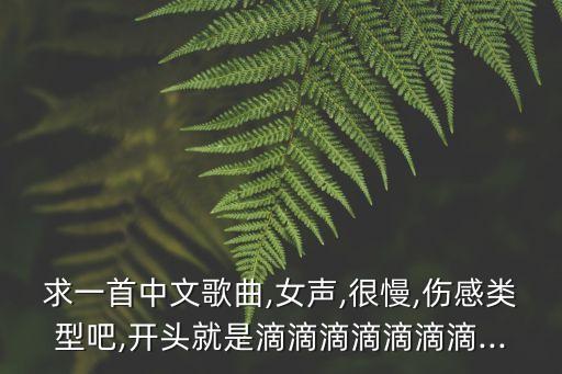 求一首中文歌曲,女声,很慢,伤感类型吧,开头就是滴滴滴滴滴滴滴...
