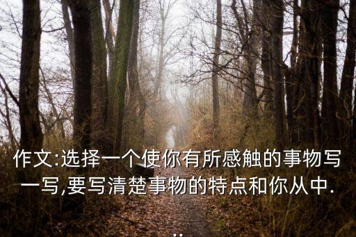 作文:选择一个使你有所感触的事物写一写,要写清楚事物的特点和你从中...