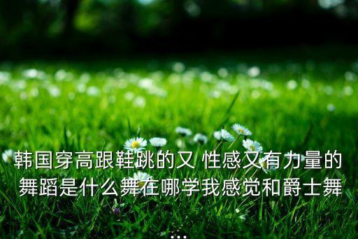 韩国穿高跟鞋跳的又 性感又有力量的 舞蹈是什么舞在哪学我感觉和爵士舞...