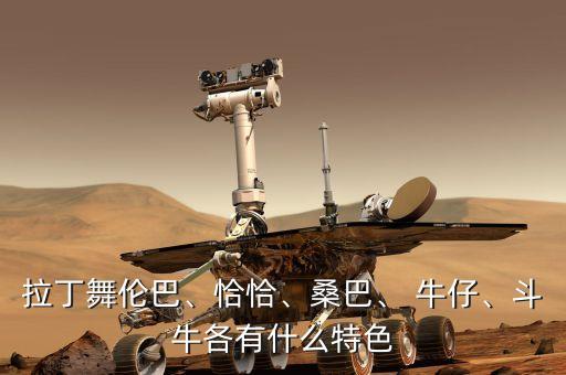 拉丁舞伦巴、恰恰、桑巴、 牛仔、斗牛各有什么特色